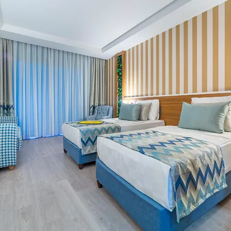 Lonicera Premium (adults Only)