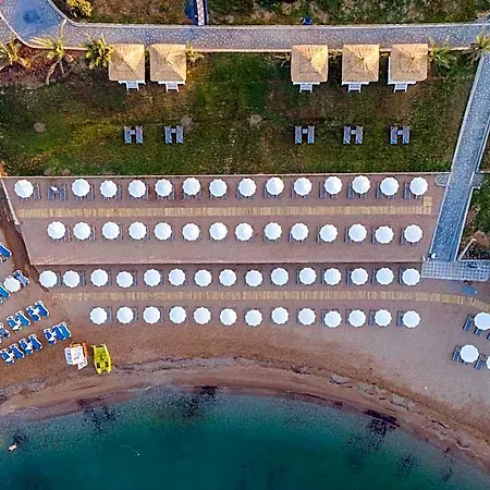 Lonicera Premium (adults Only) 5* Авсаллар